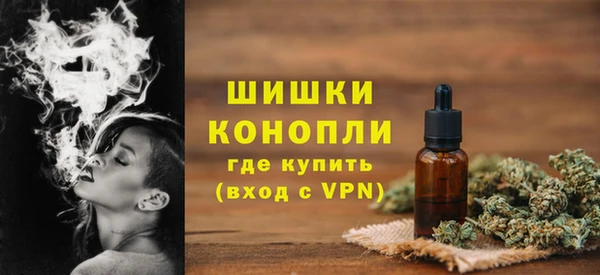 дмт Бородино