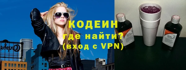 дмт Бородино
