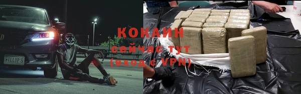 дмт Бородино
