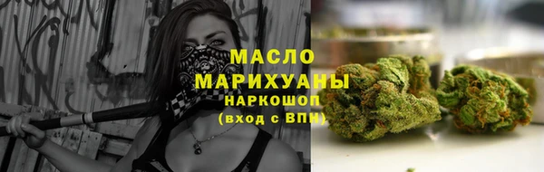 дмт Бородино