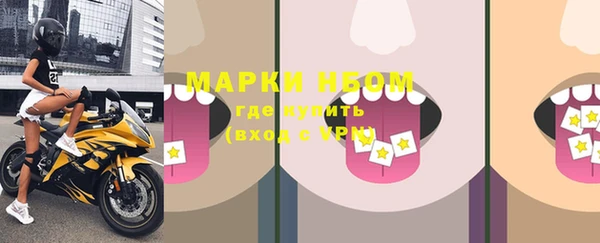 ГАЛЛЮЦИНОГЕННЫЕ ГРИБЫ Заволжье