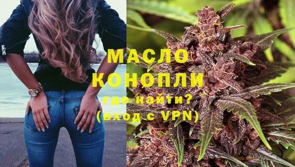 дмт Бородино