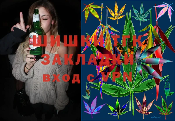 дмт Бородино